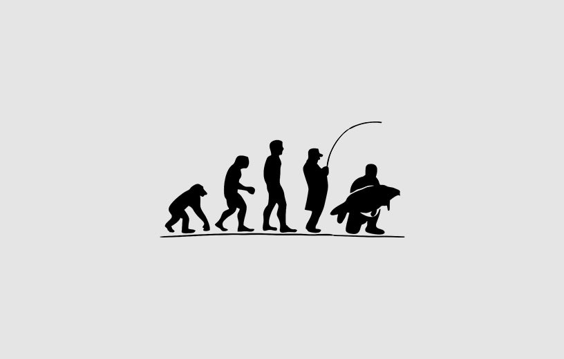 EVOLUCION PESCA - Sticker Paradise LF